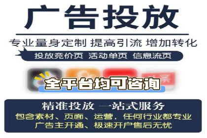 案例研究：竞价广告助力电商行业增长